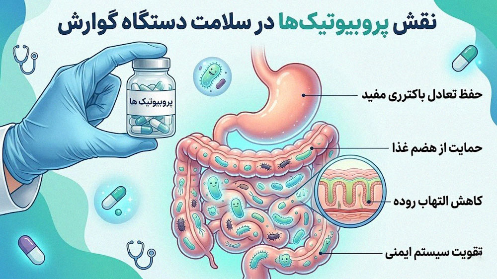 پروبیوتیک ها و نقش آن ها در سلامت دستگاه گوارش